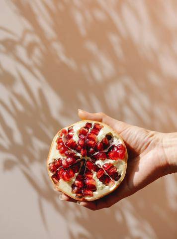 Fall Fruit - The Pomegranate
